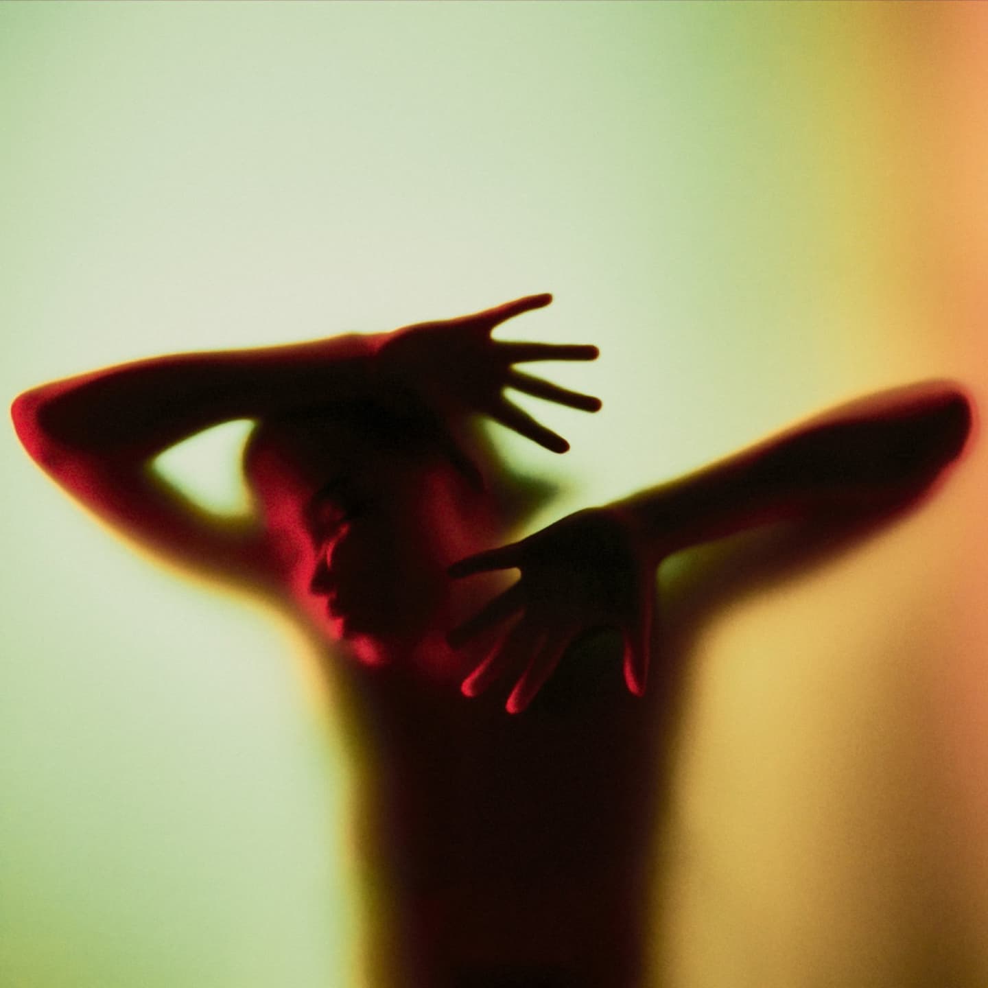Filmmaker - Hollywood Cult — 1