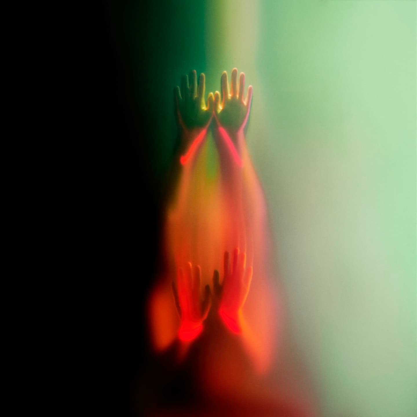 Filmmaker - Hollywood Cult — 2