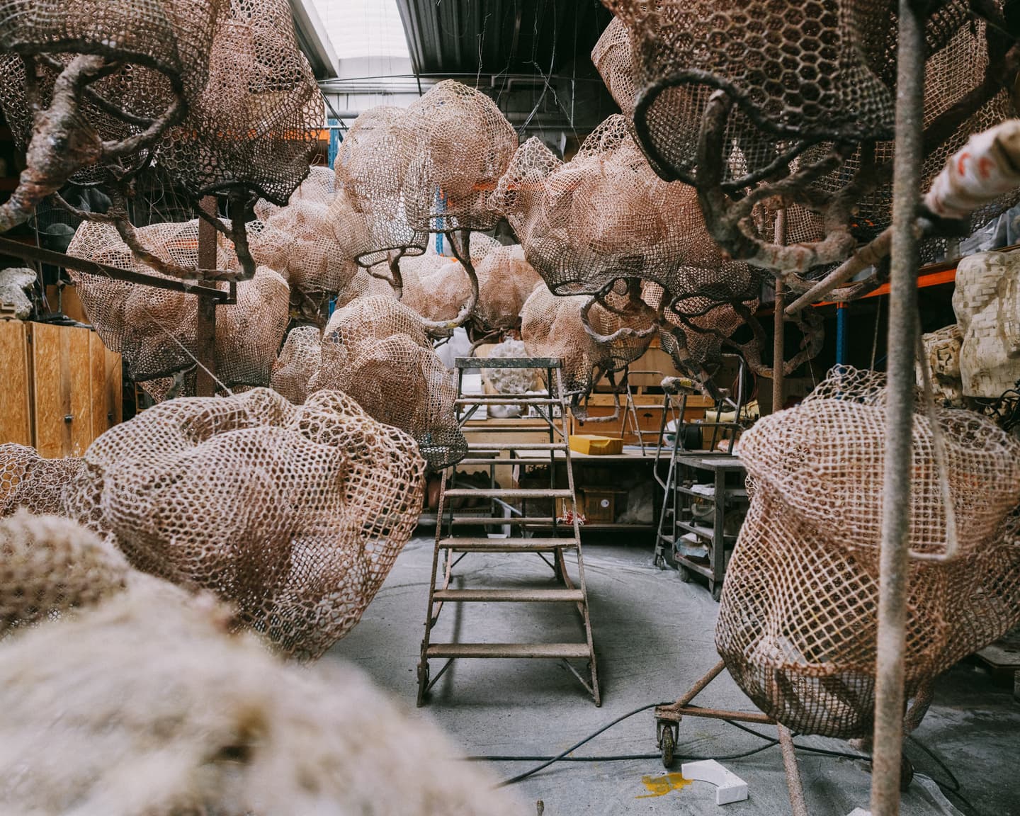 Nacho Carbonell — 9