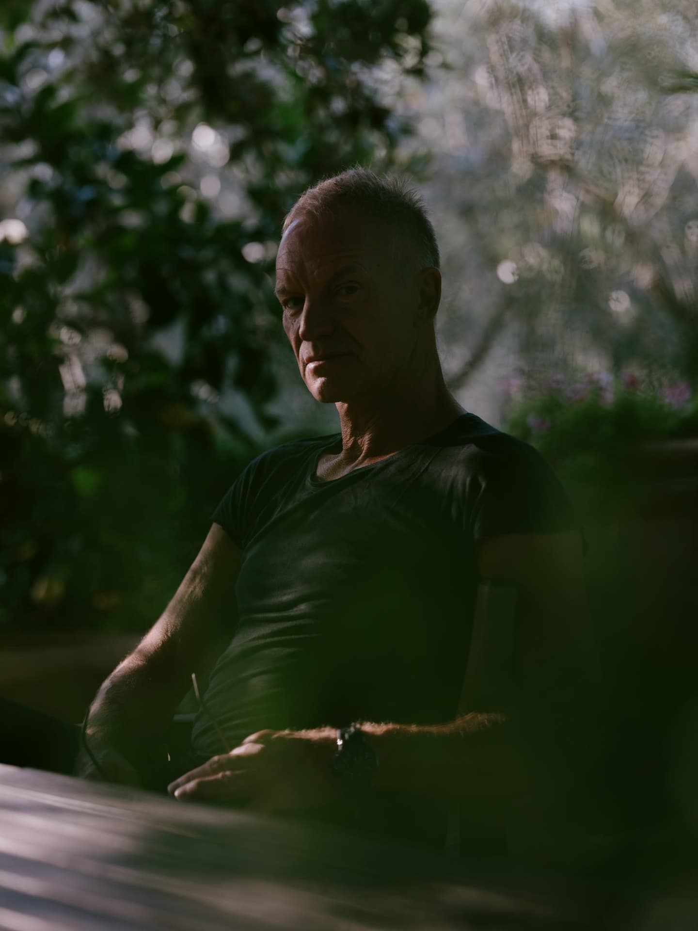 Sting — 2