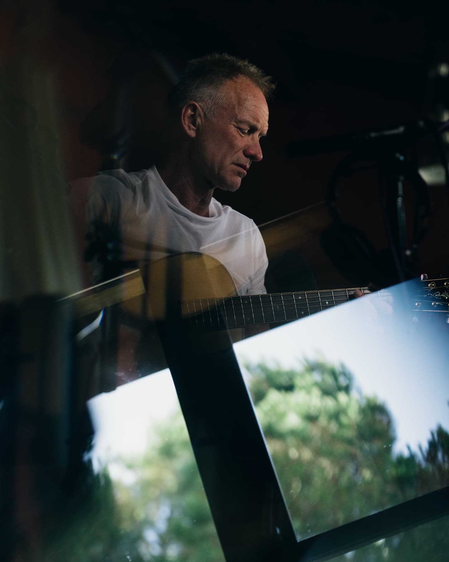 Sting — 8