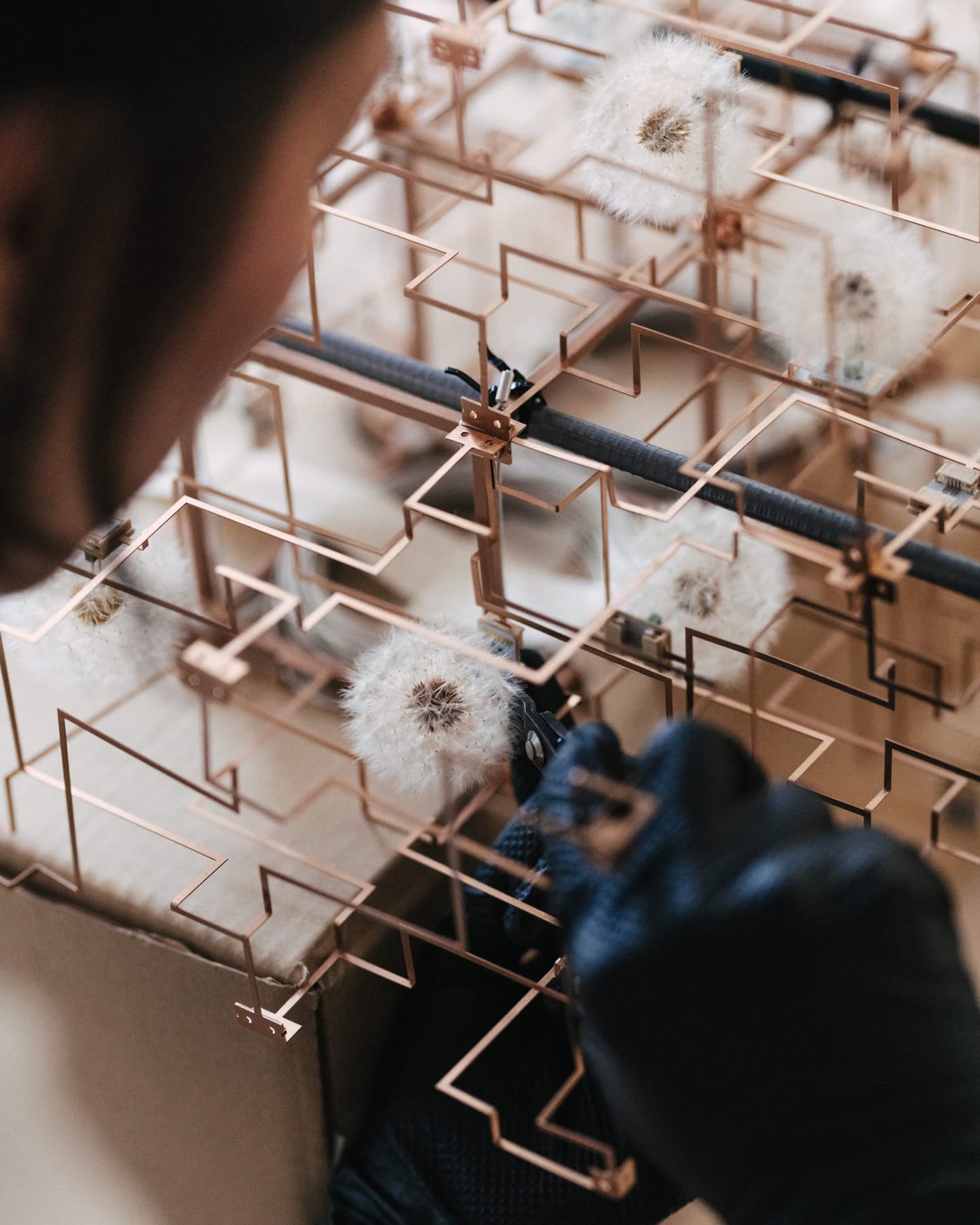 Studio Drift: Fragile Future — 3