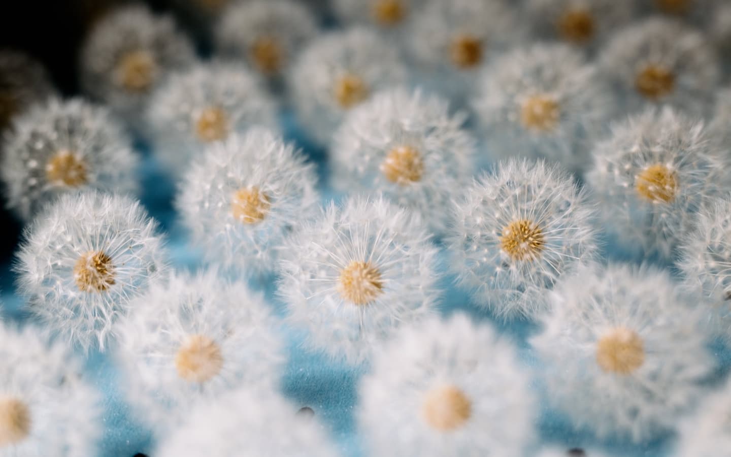 Studio Drift: Fragile Future — 7
