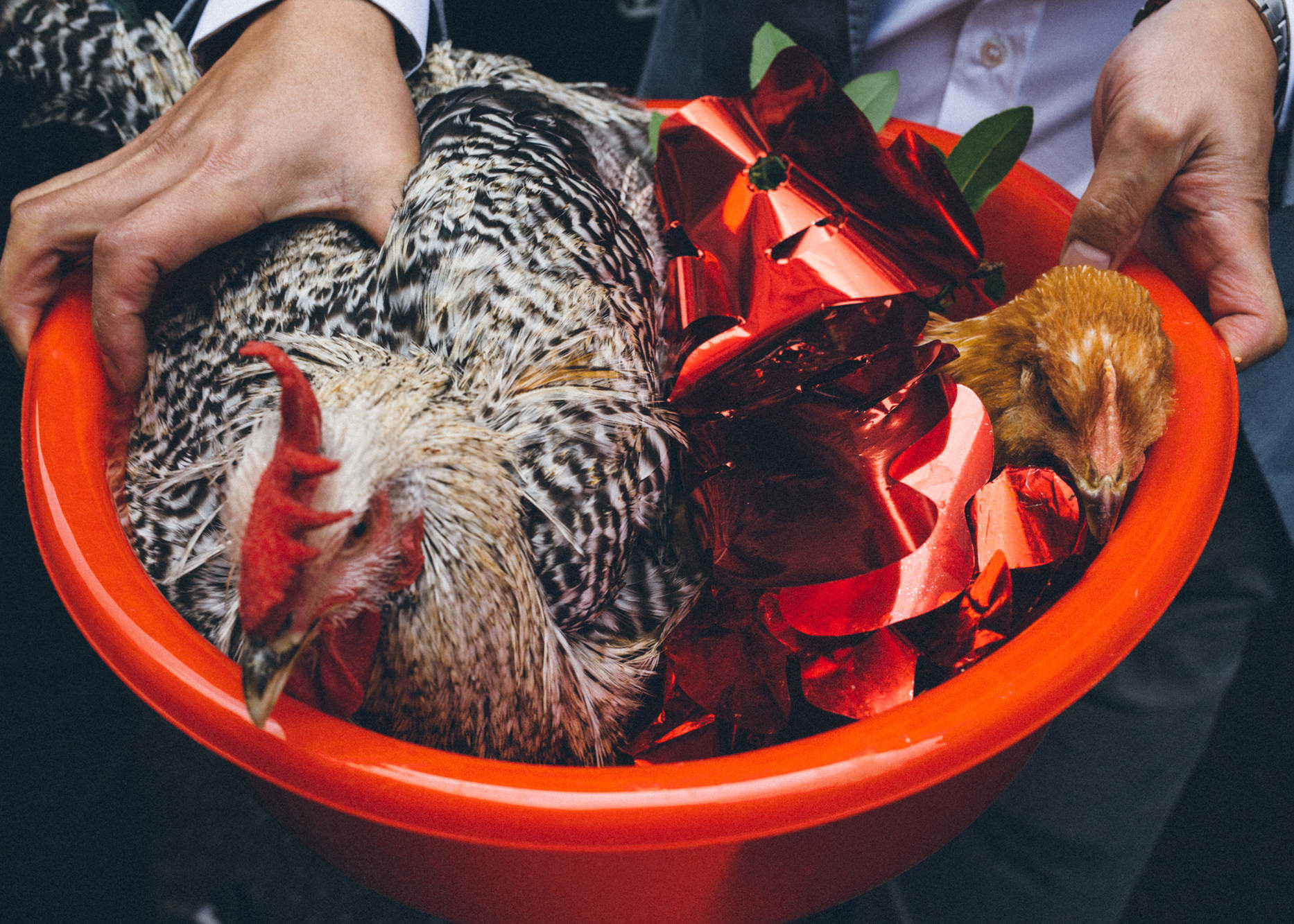 Chinese Engagement — 10