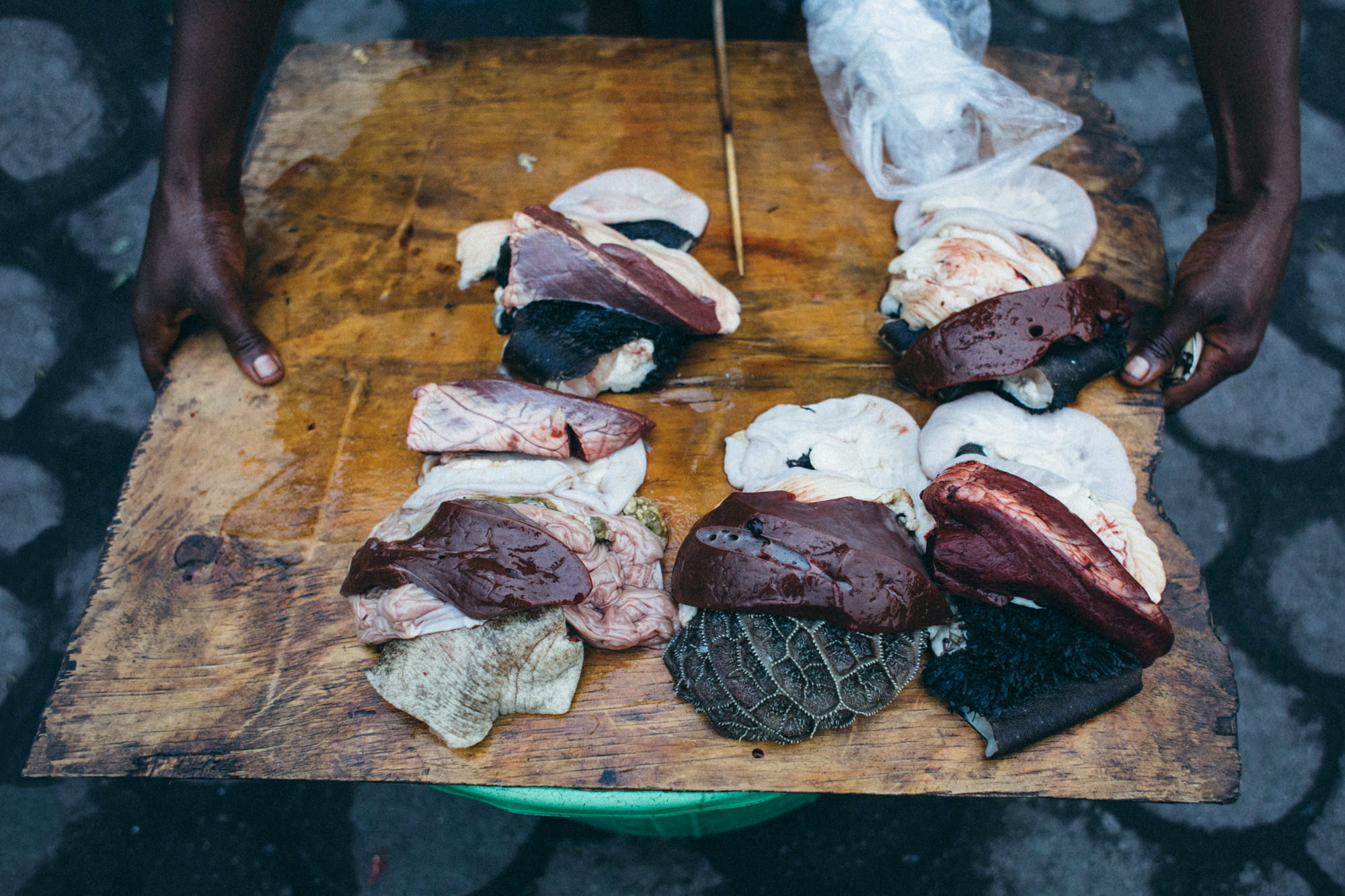 Chukudus and Chukudeurs — 11