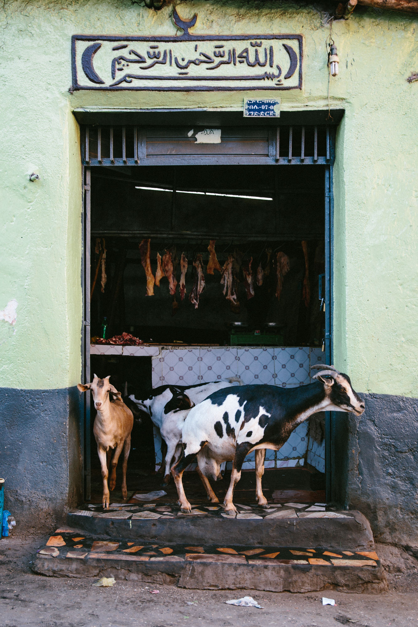 Harar, City of Saints — 14