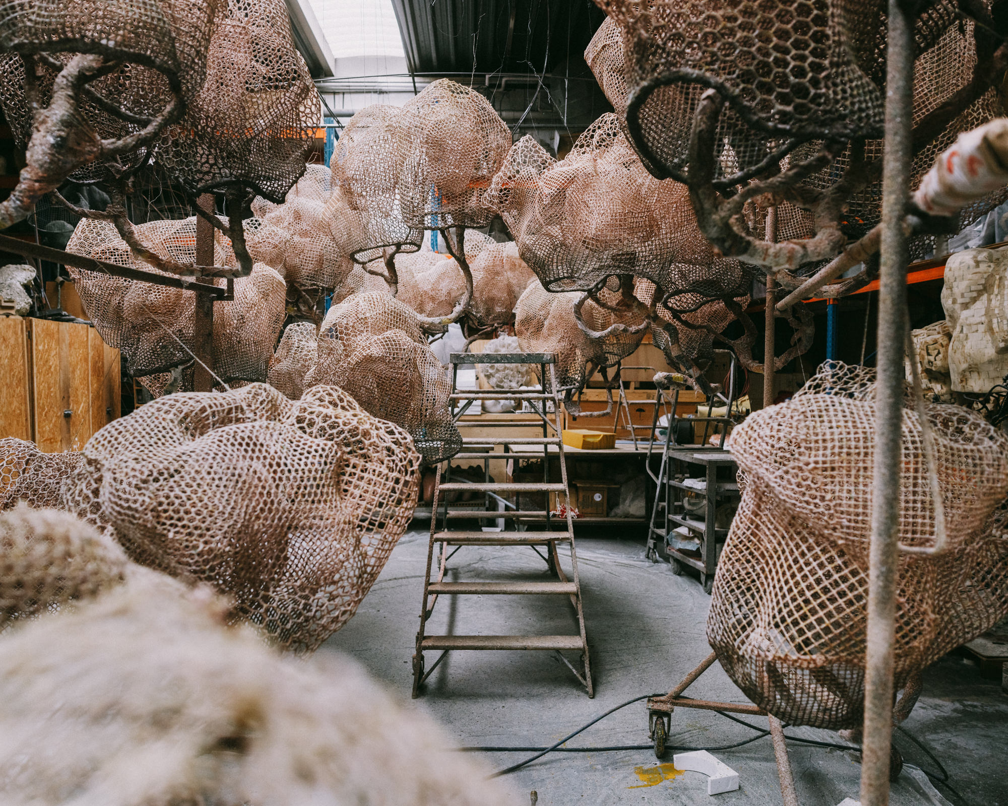 Nacho Carbonell — 9