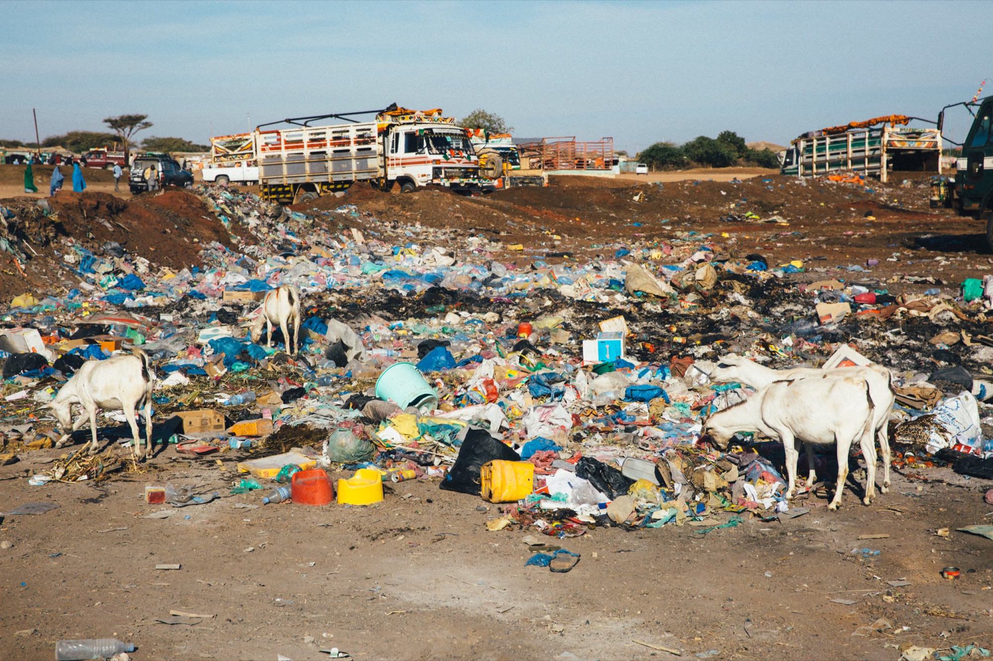 Somalilanders Dream of a Nation — 30