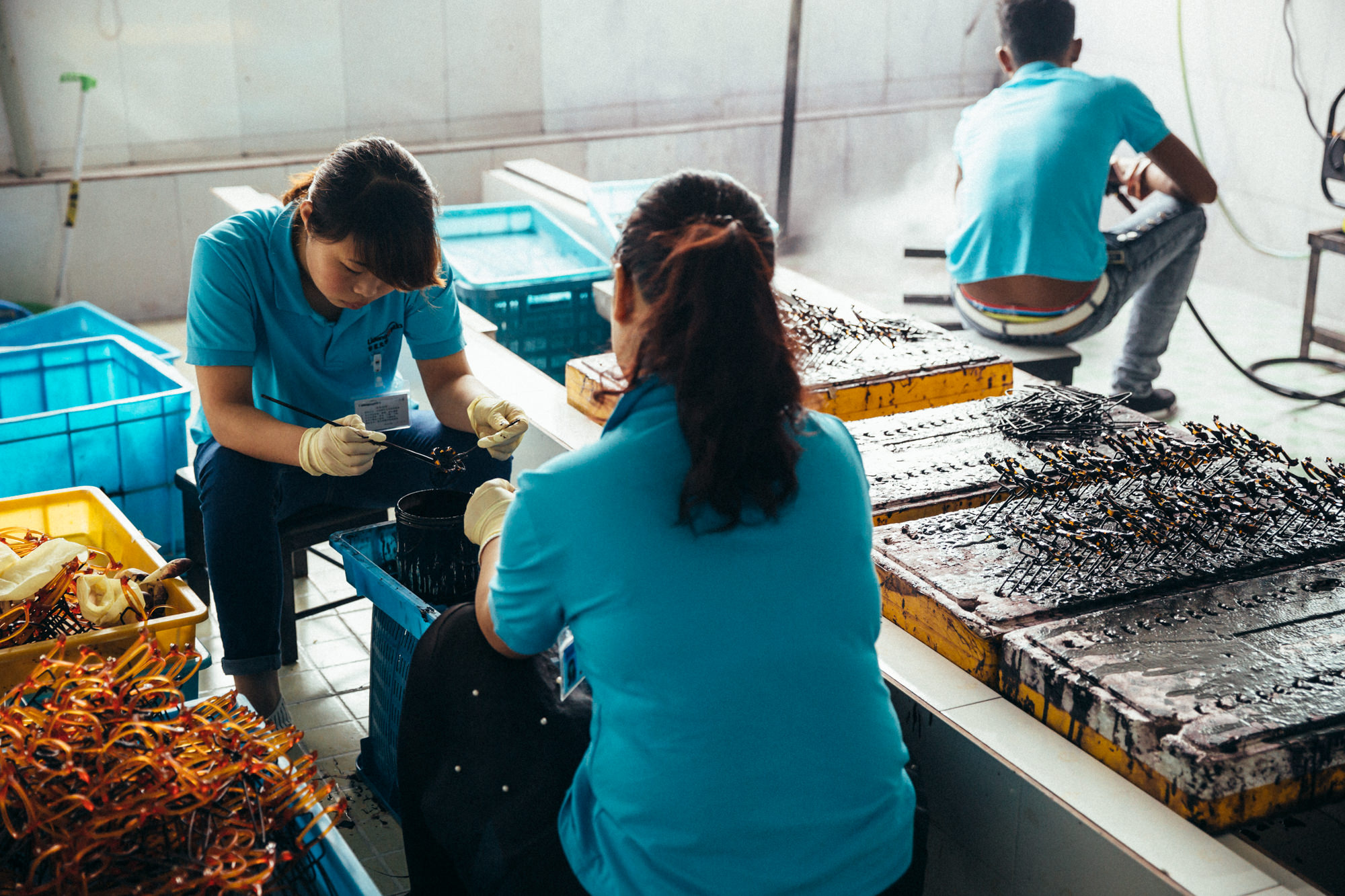 I can see clearly now — 12