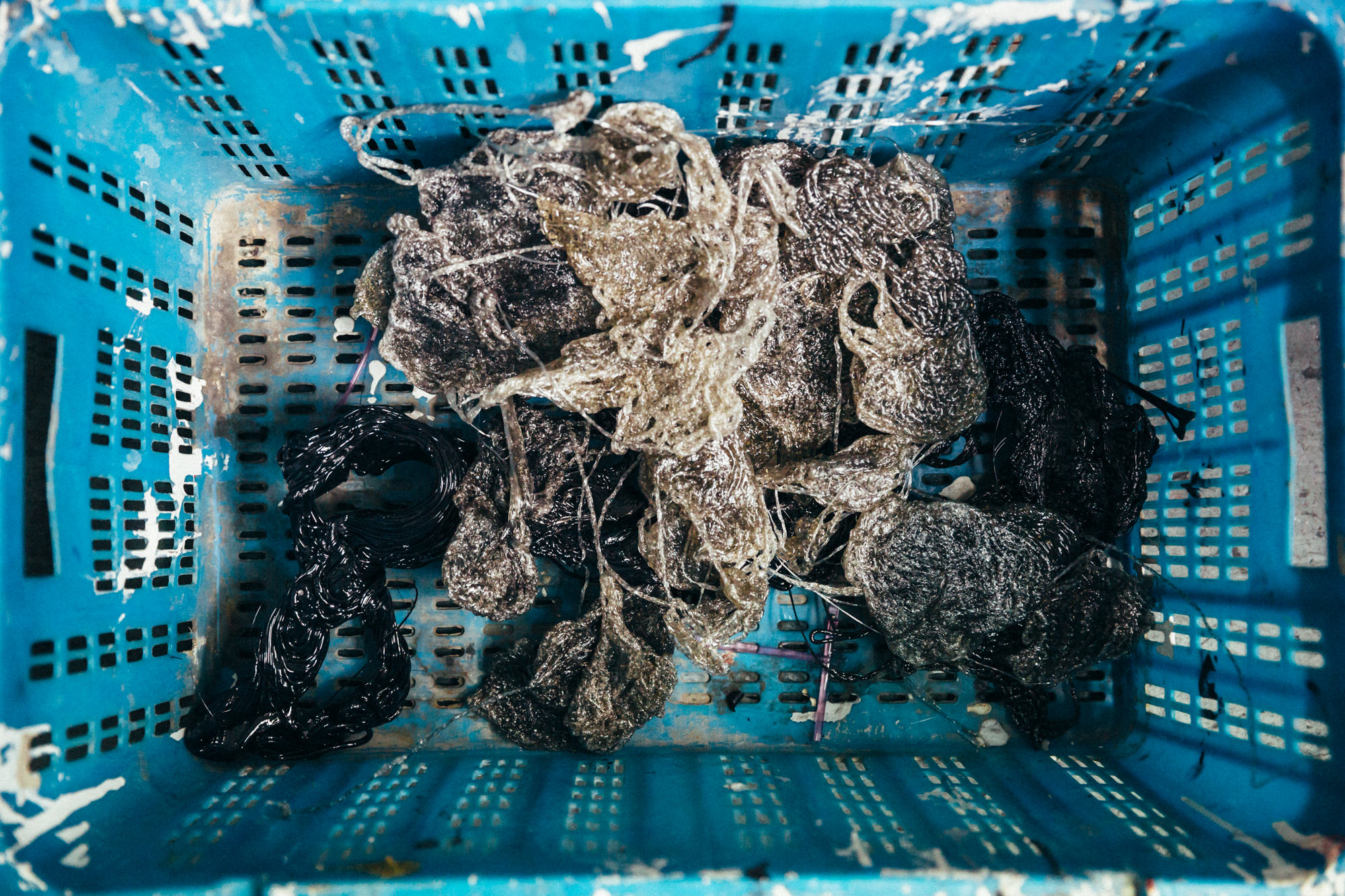 I can see clearly now — 15