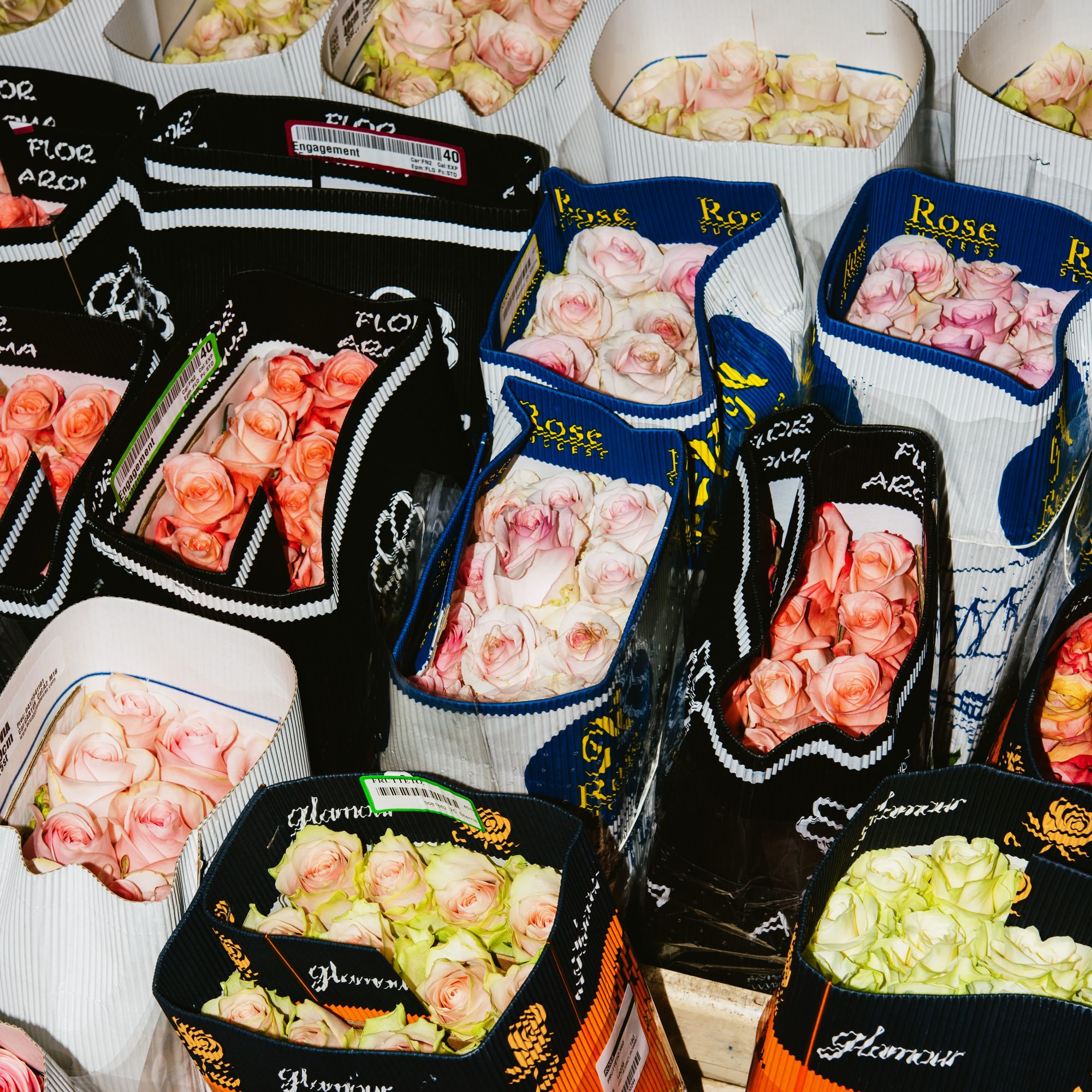 VTSS - Borderline Tenderness — 8