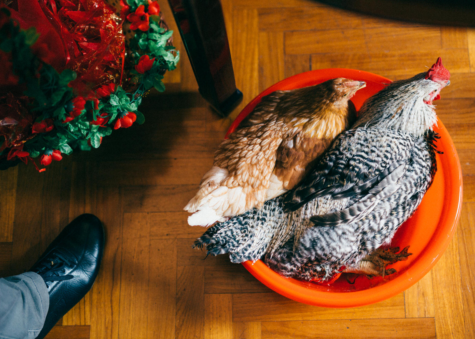 Chinese Engagement — 6