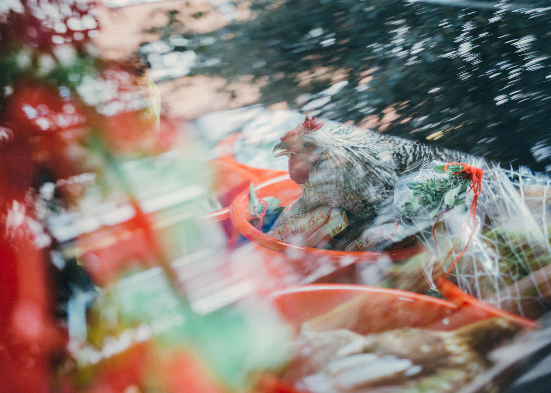 Chinese Engagement — 9