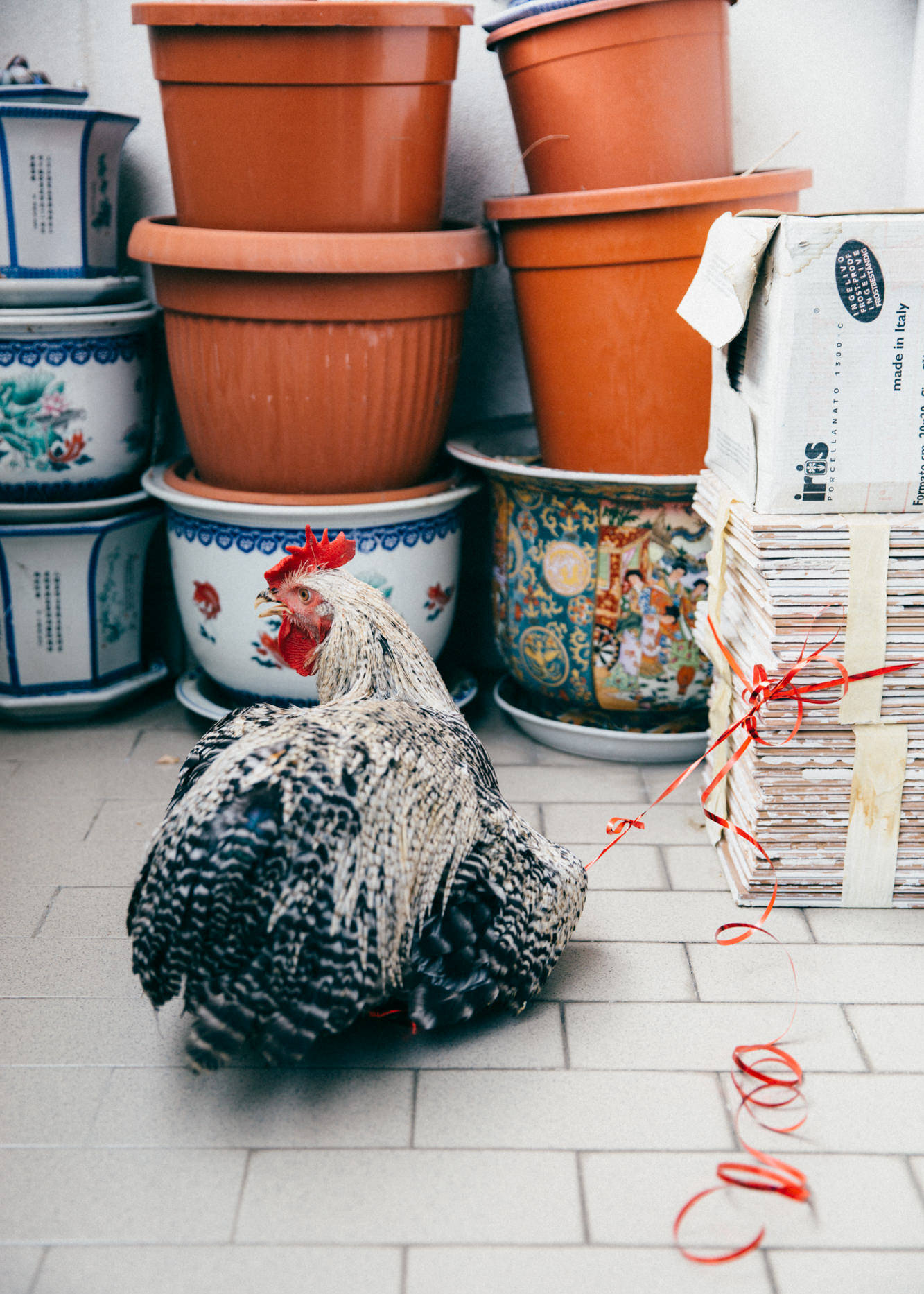 Chinese Engagement — 11