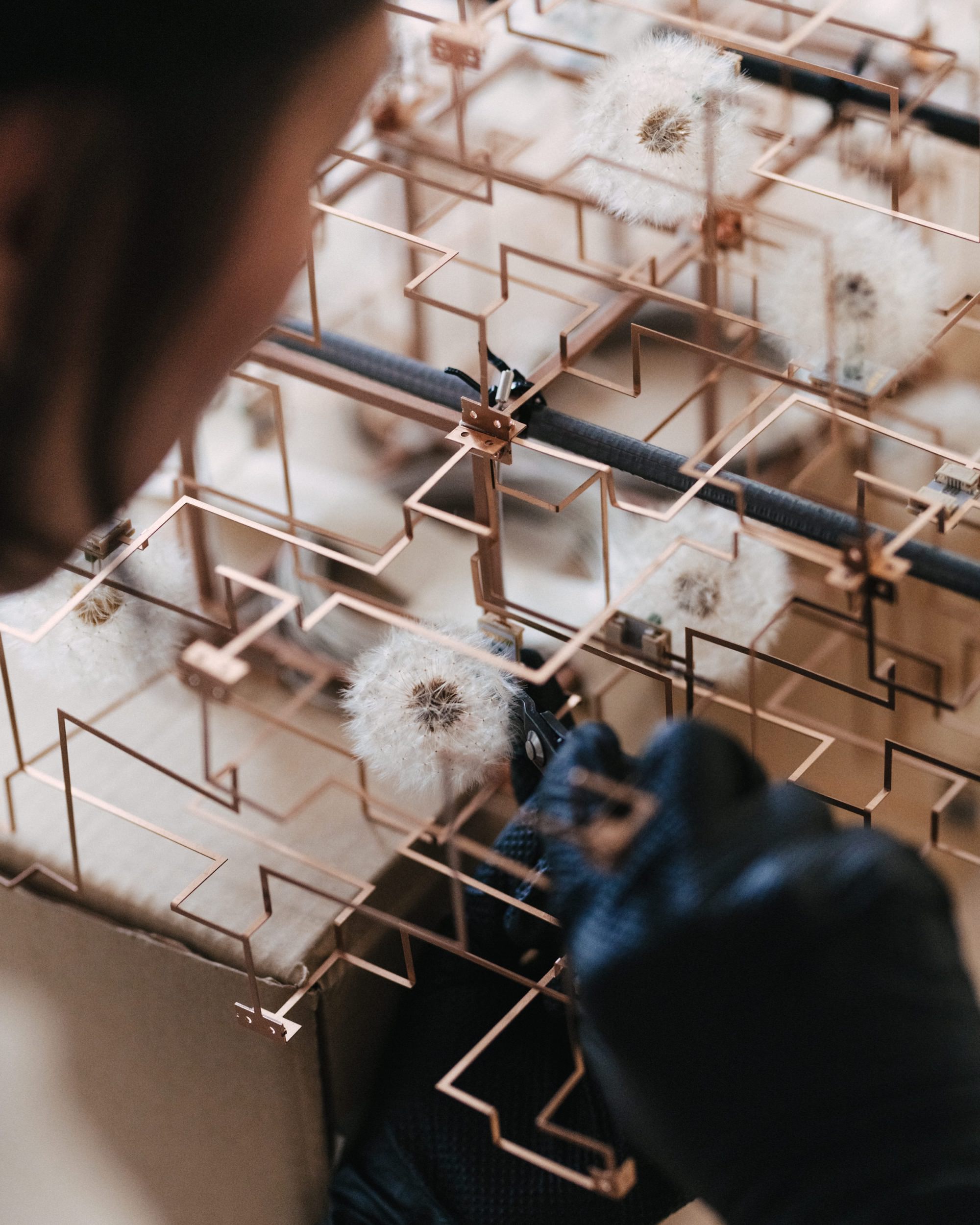 Studio Drift: Fragile Future — 3