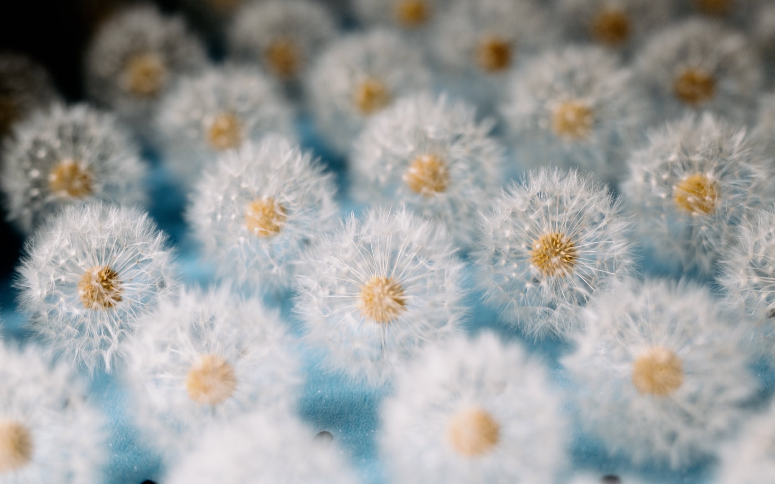 Studio Drift: Fragile Future — 7