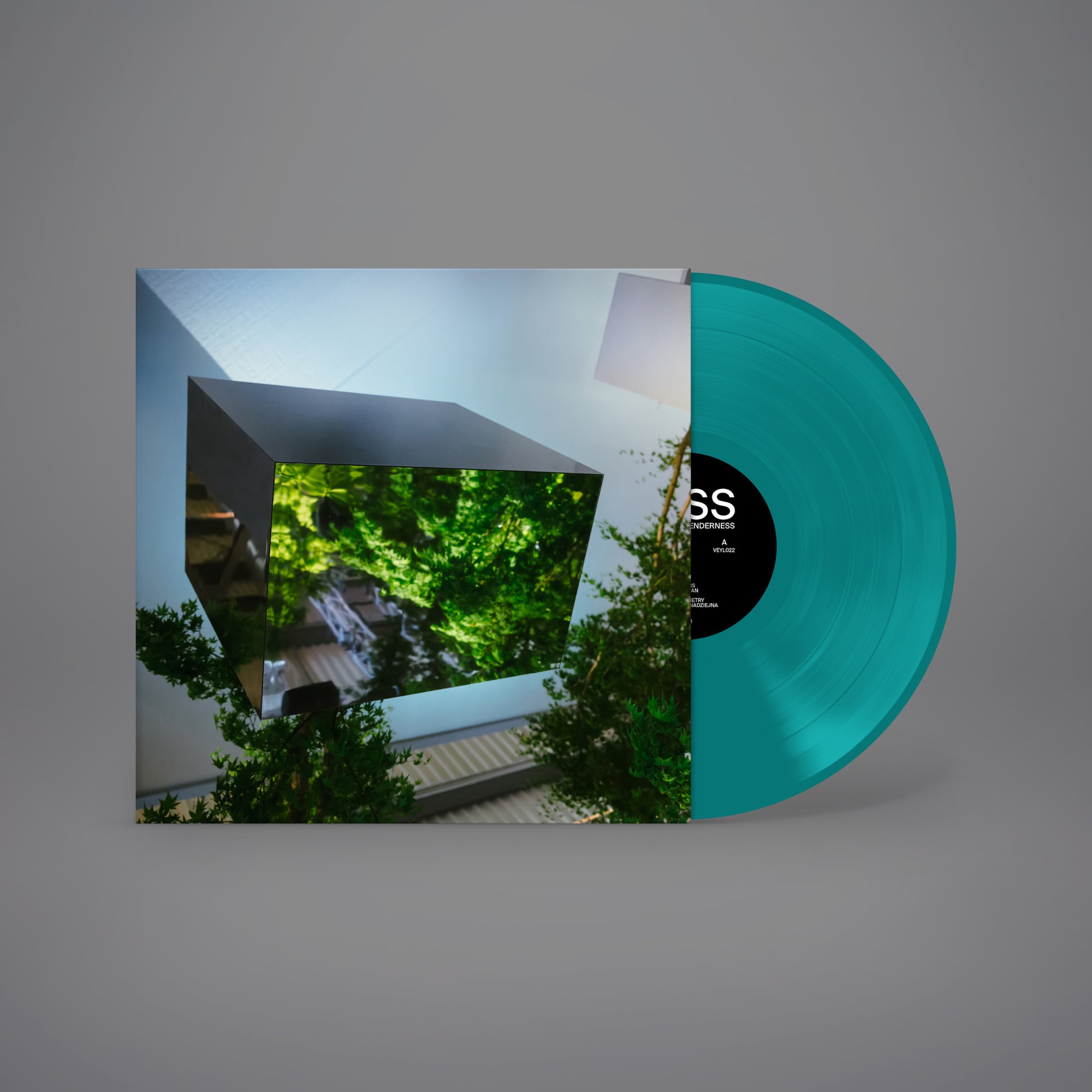 VTSS - Borderline Tenderness — 3