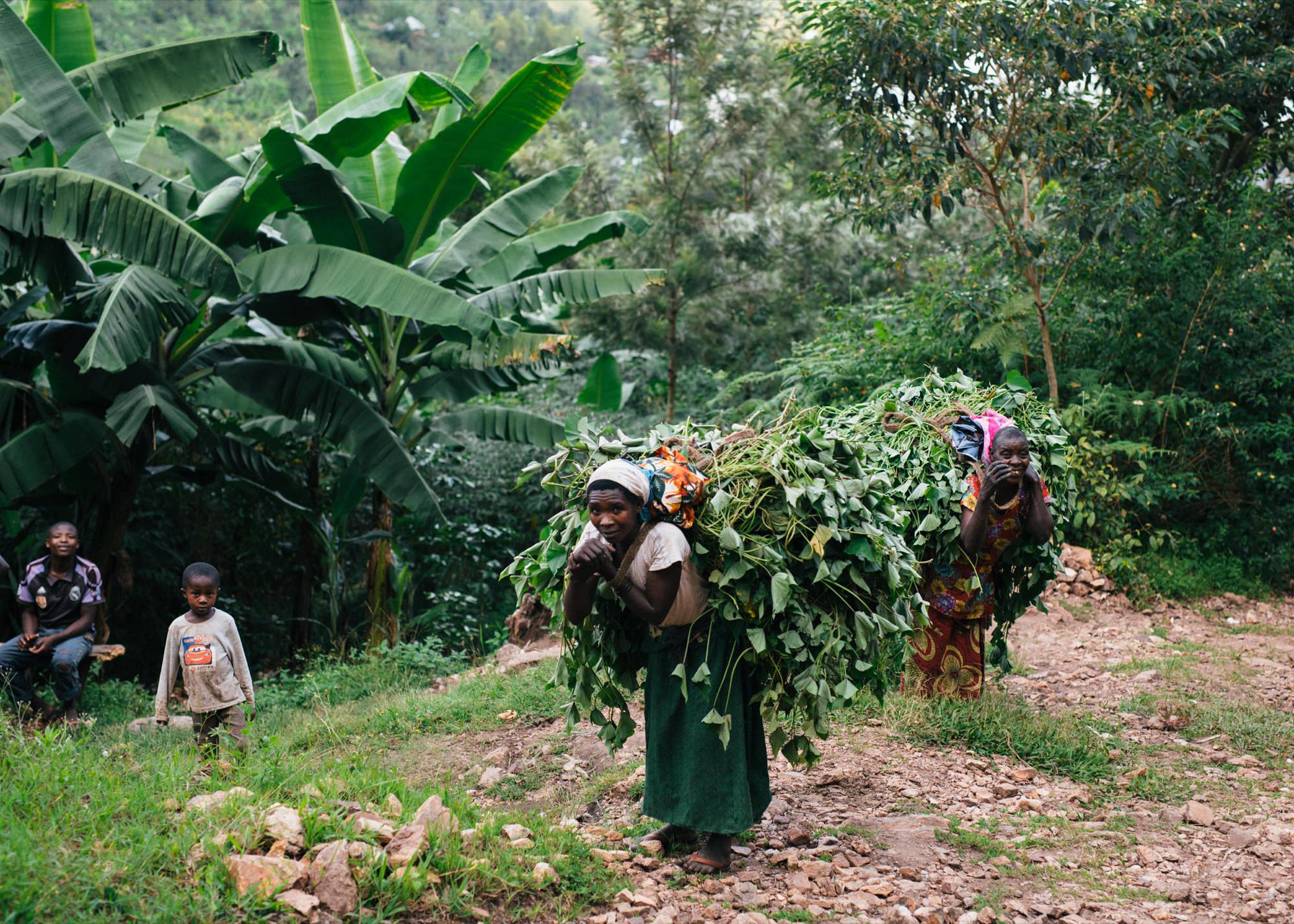 Google Idjwi Island — 22