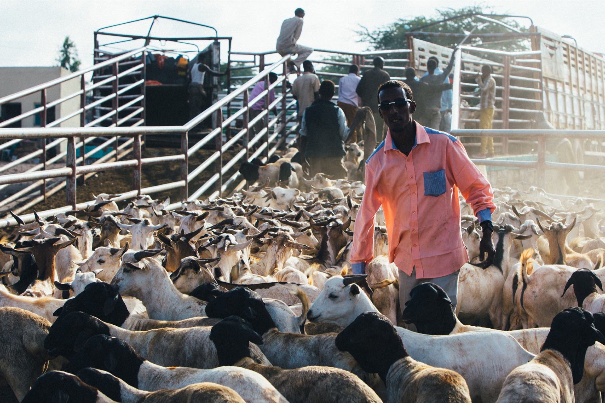 Somalilanders Dream of a Nation — 3