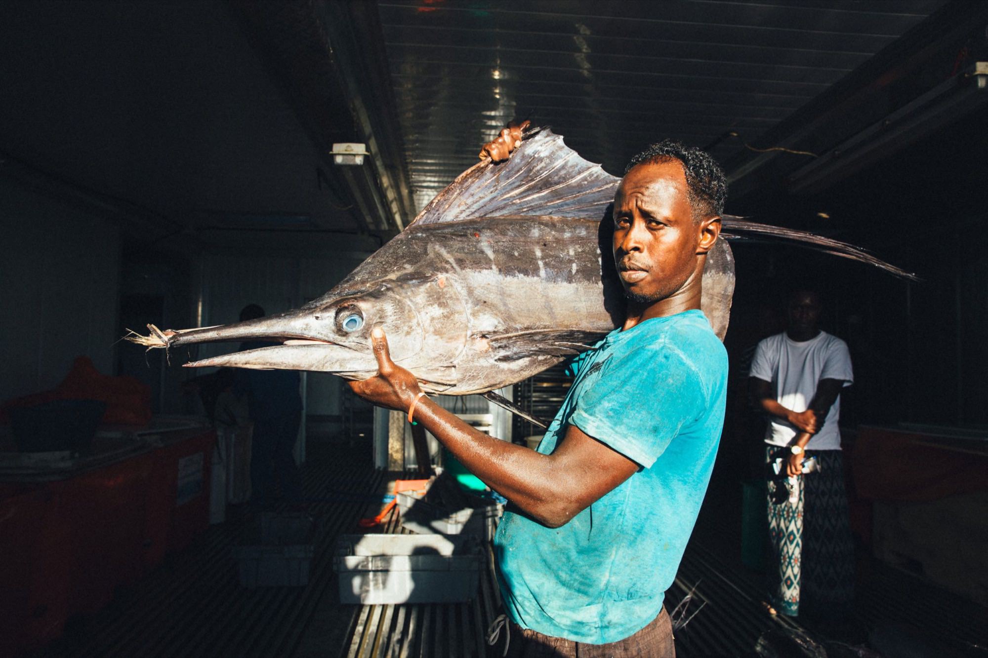 Somalilanders Dream of a Nation