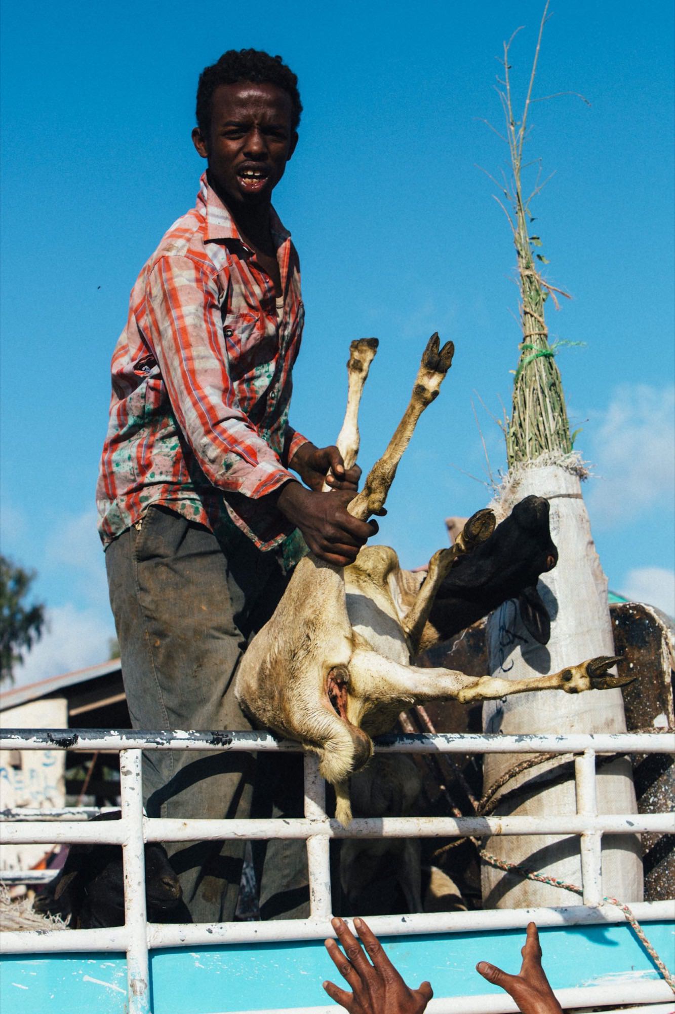 Somalilanders Dream of a Nation — 29