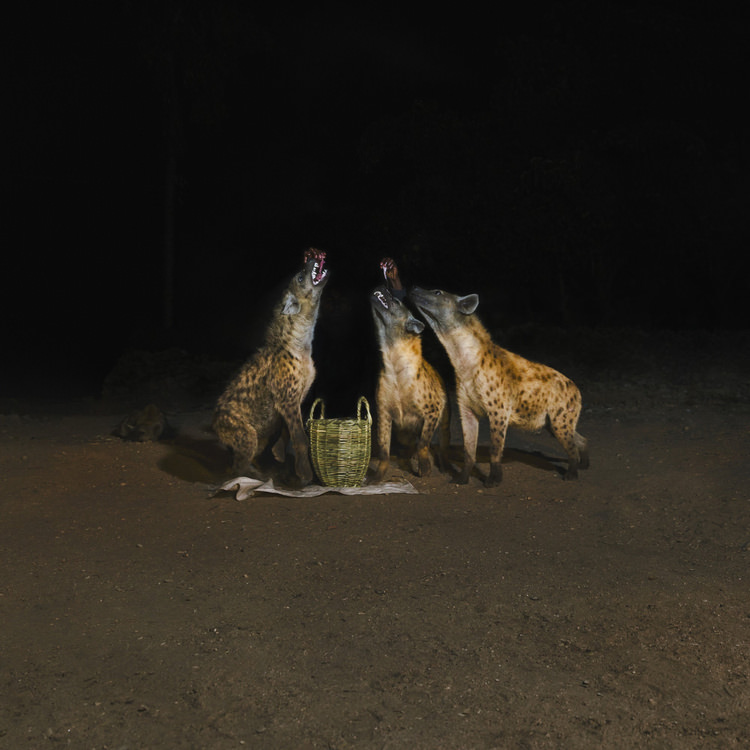 Years of Denial - Suicide Disco